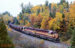 WC 7507, Sore-1, Goose Lake, MI. 10-11-2003